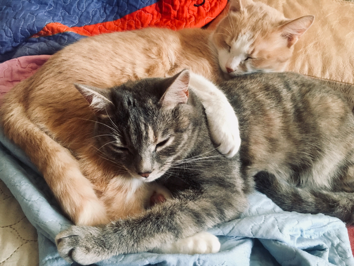    :3 , , 
