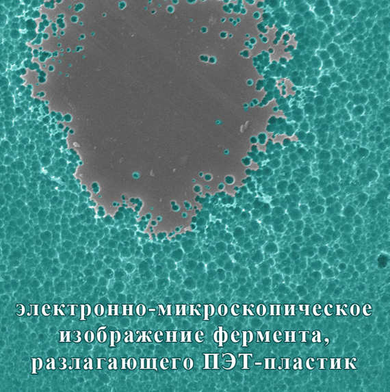 какие следы у чупакабра. Смотреть фото какие следы у чупакабра. Смотреть картинку какие следы у чупакабра. Картинка про какие следы у чупакабра. Фото какие следы у чупакабра