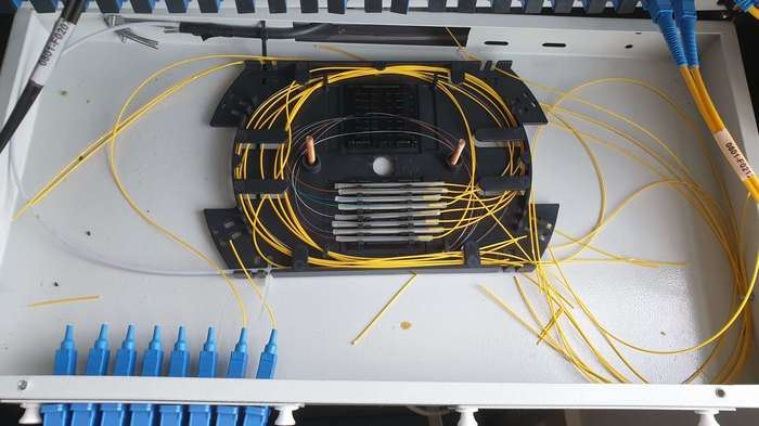 Мыши плакали, кололись, но продолжали жрать оптику