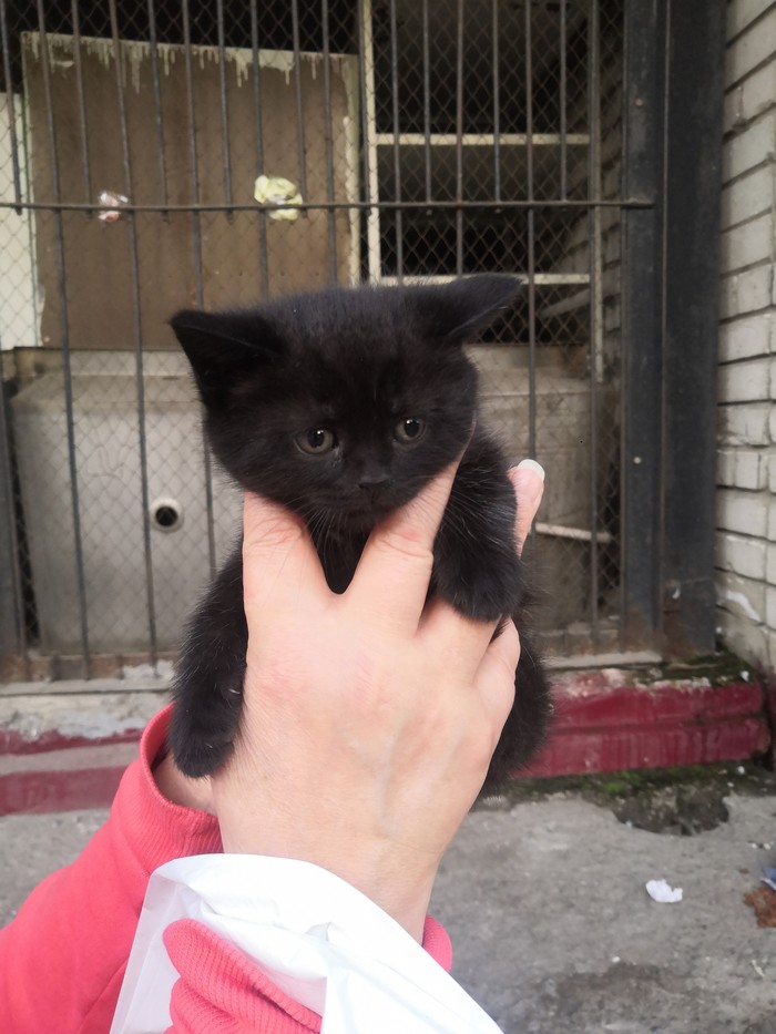 ������ �������� �������� ������