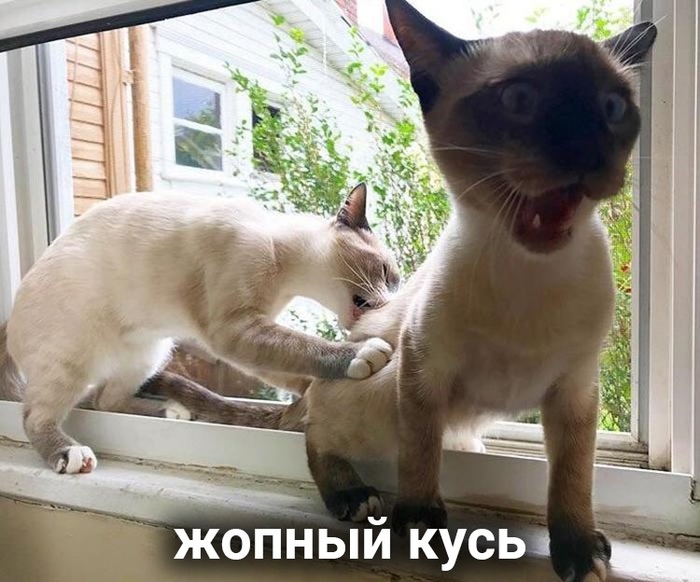 1568800289110573436.jpg