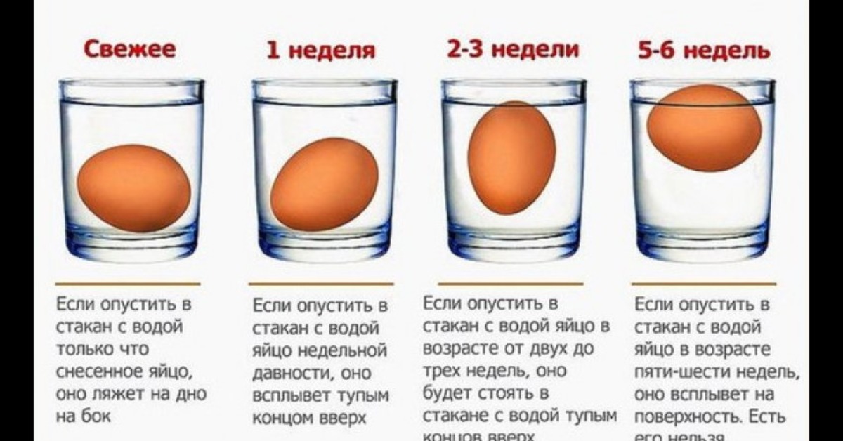 Срок хранения куриных яиц в холодильнике. Срок хранения домашних яиц. Срок хранения куриных яиц в холодильнике домашних. Срок хранения домашних яиц в холодильнике.