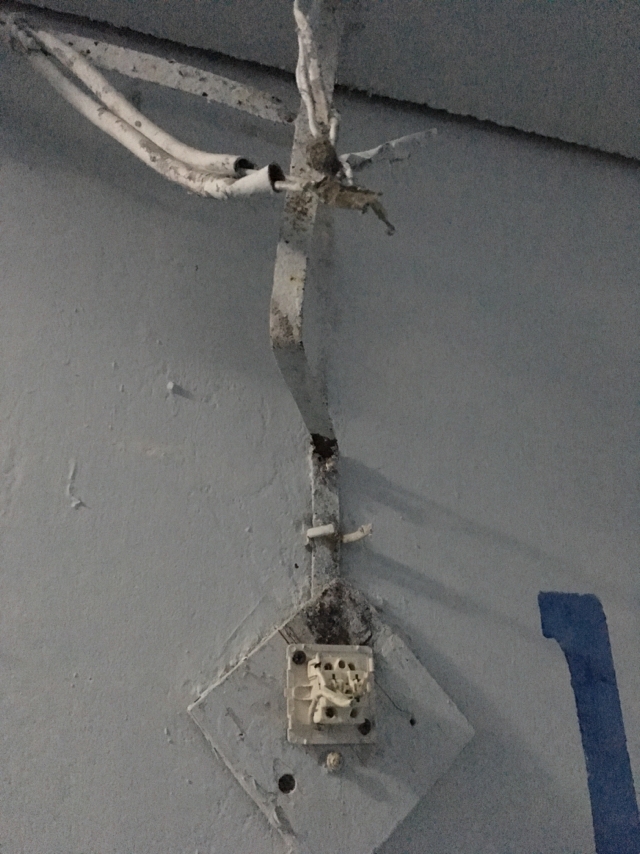 ������ ��������