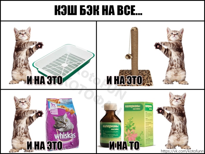 ,    ?