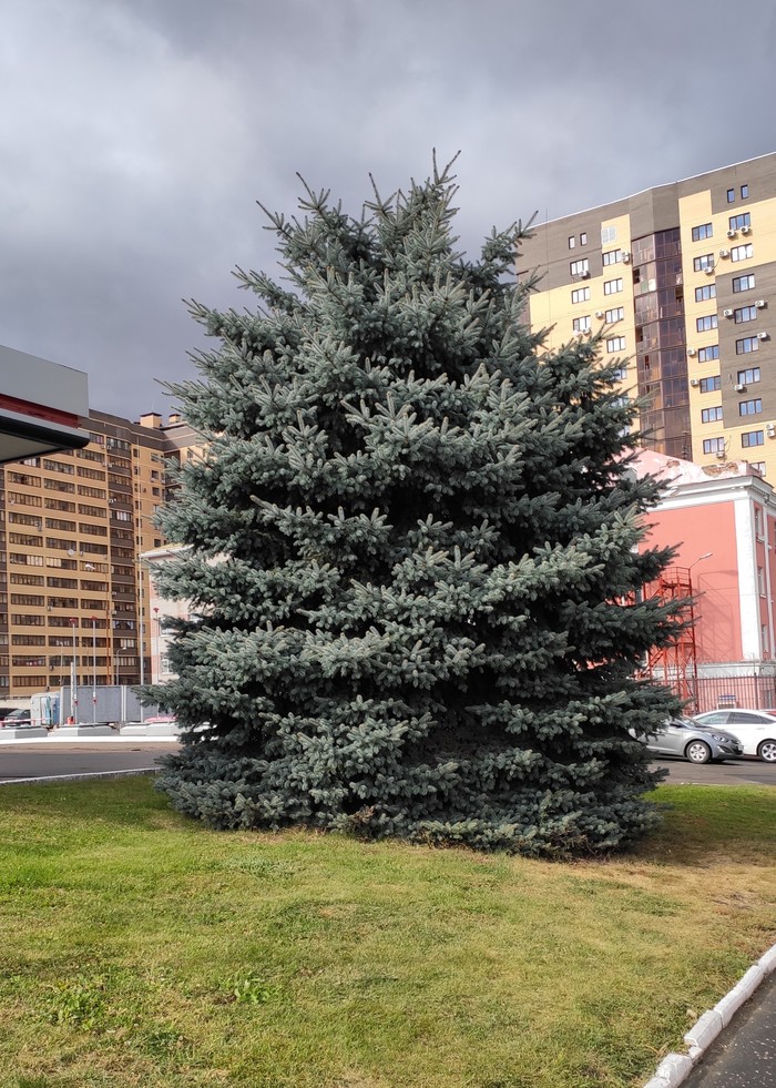 �������������� ������� ���