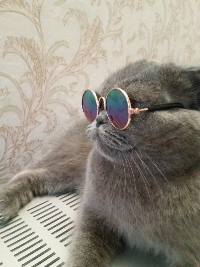 Просто Софи