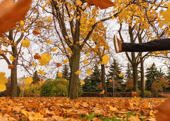 ����� �����.