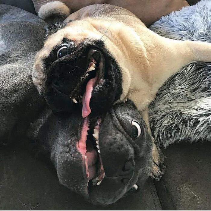 Включили отопление