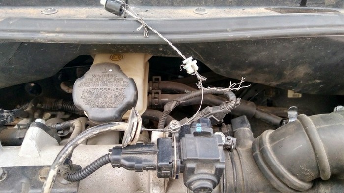 ��� �������� ������� - ������ ����