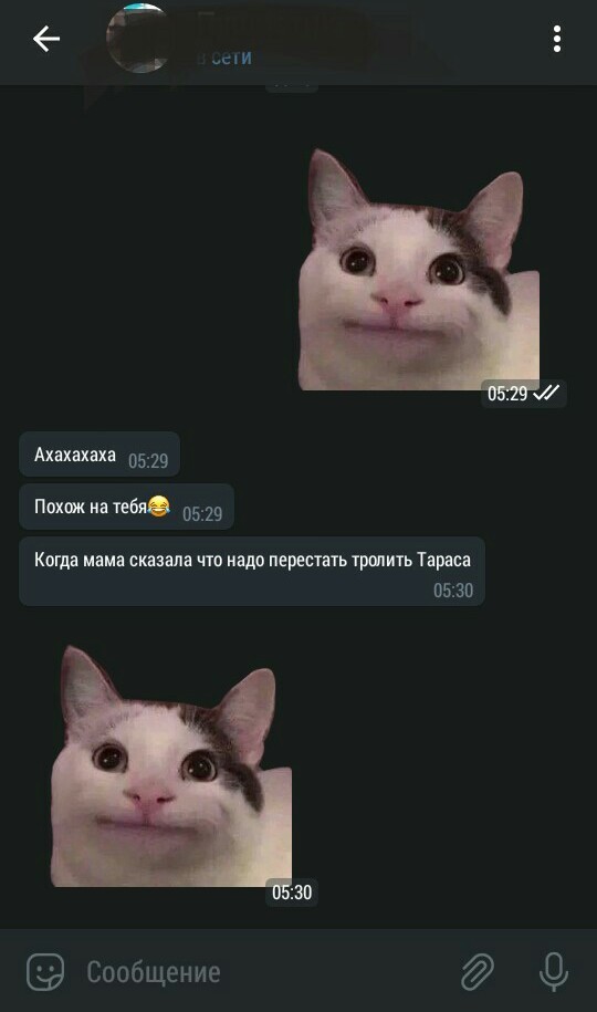 ��� ������������