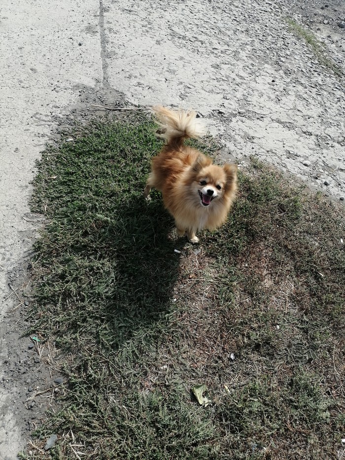 ������� ������. �������. ������ ���