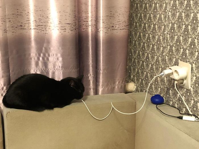 ��� �� ����������