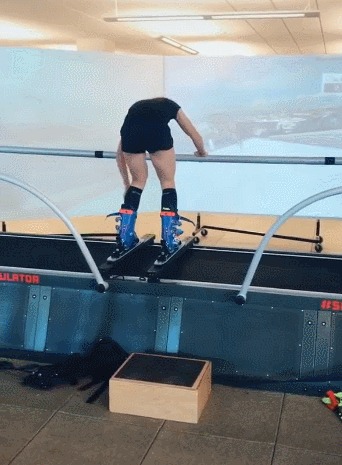 Зимний спорт Лыжи, Тренажер, Гифка, Спортивные девушки