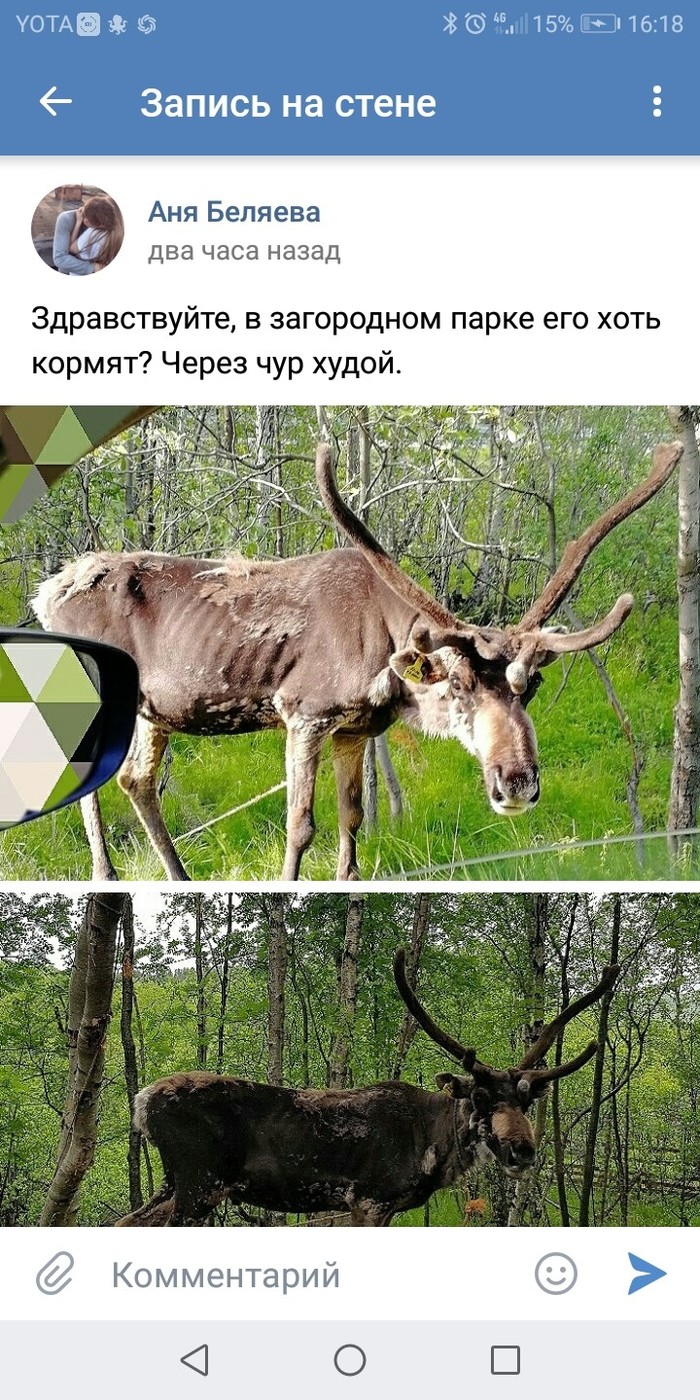 выпороток что это такое. Смотреть фото выпороток что это такое. Смотреть картинку выпороток что это такое. Картинка про выпороток что это такое. Фото выпороток что это такое