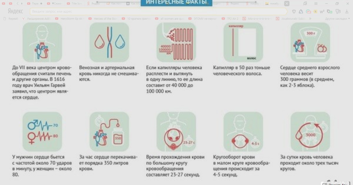 Систему интересным фактом. Самые интересные факты о крови. Интересные факты о сердце. Интересные факты о крови человека. Интересные факты о сердце человека.