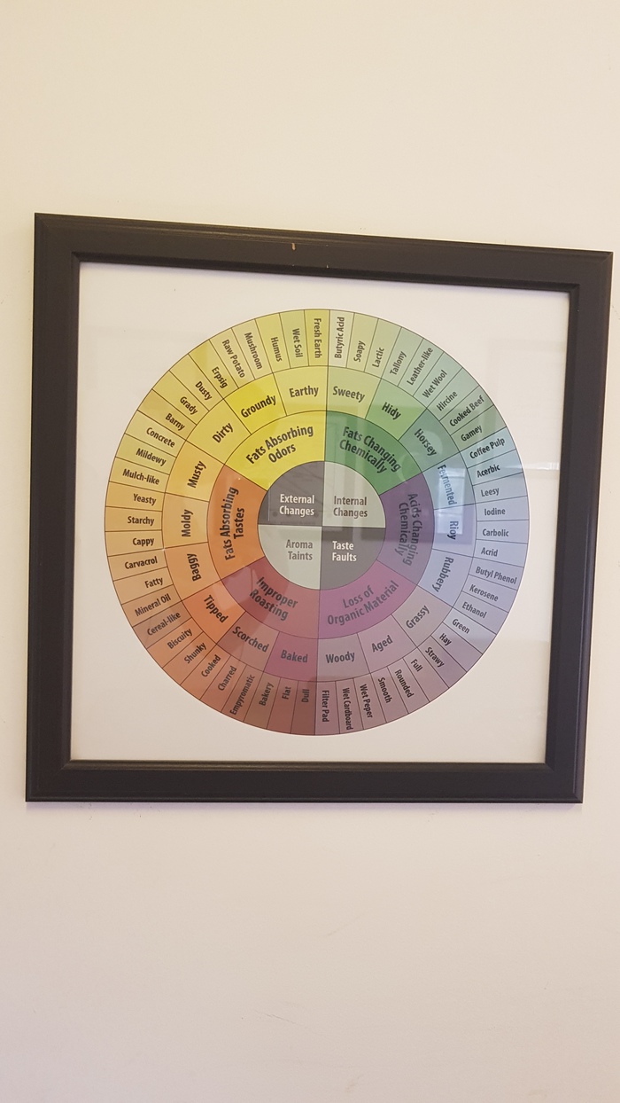 Кофеманам посвящается Кофе, Кофейня, Кофейный автомат, Кофемашина, Эспрессо, Профессионализм, Ценители, Дегустация, Длиннопост