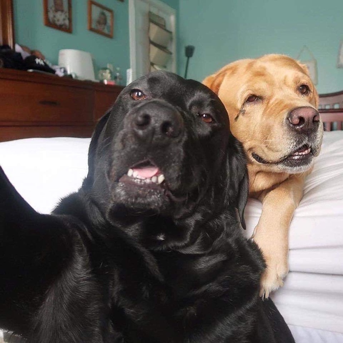 Селфи выходного дня..