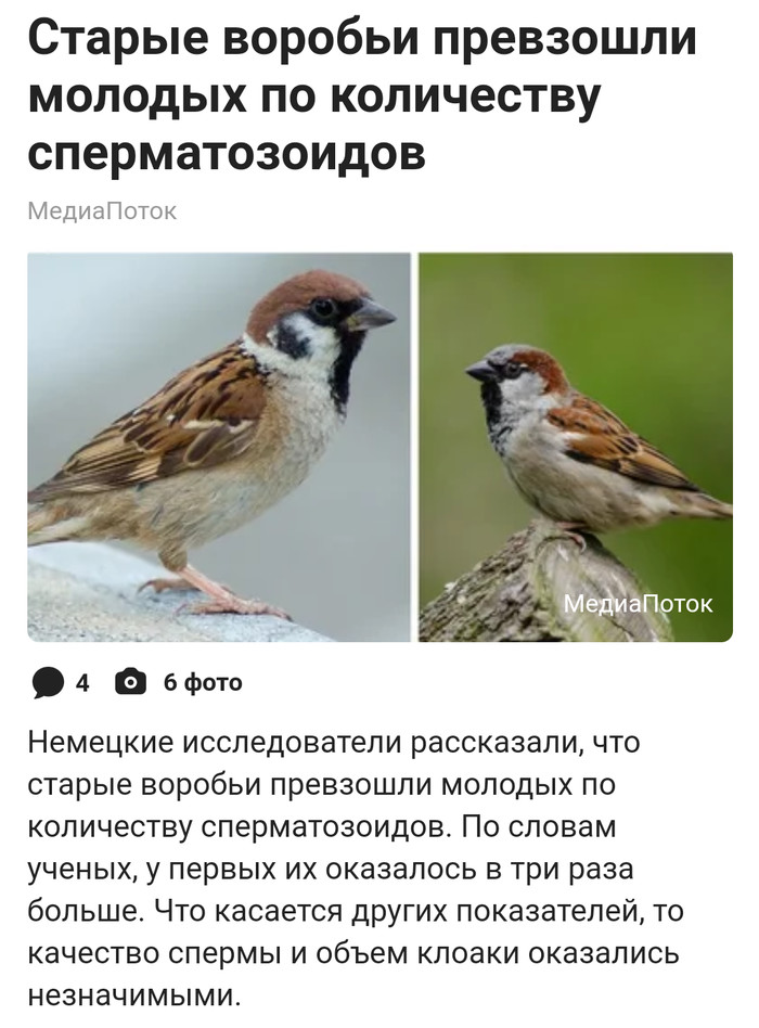 ���, ����� � ��� ��� ������???