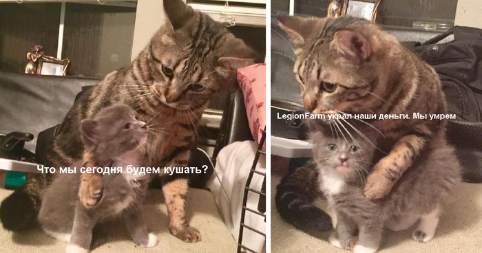 Revolutionizing pay-to-earn esports in the NFT space