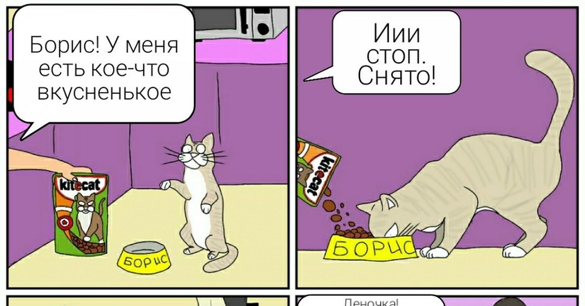 Секрет кота бориса. Мемы про кота Бориса. Кот Борис прикол. Энергия кота Бориса. Энергия кота Бориса реклама.