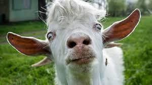 ���� � ������� � ������ � �����