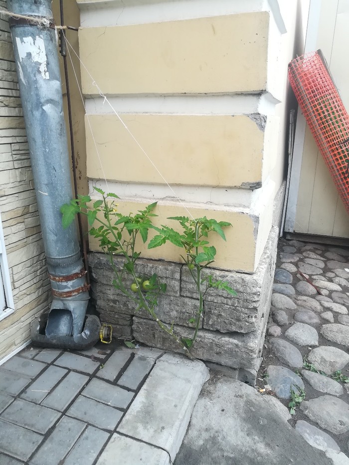 � �� ������ ������ ��������