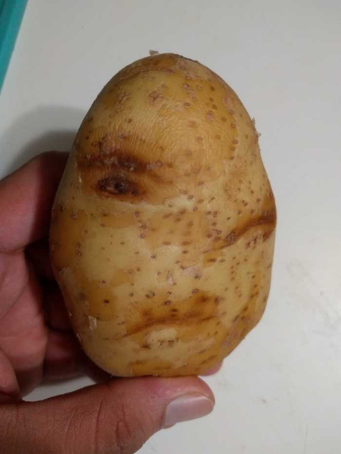 �������� ��������� ������� ����� ����������� � � �������