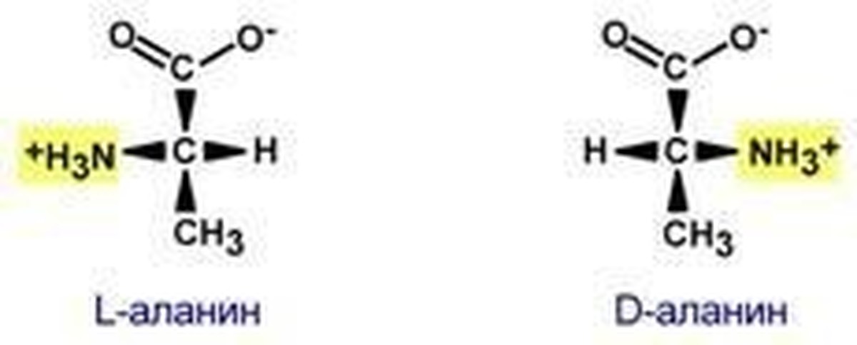 Аланин проявляет свойства. Аланин строение. Бета аланин получение. Д И Л изомеры аланина. Бета аланин структура.