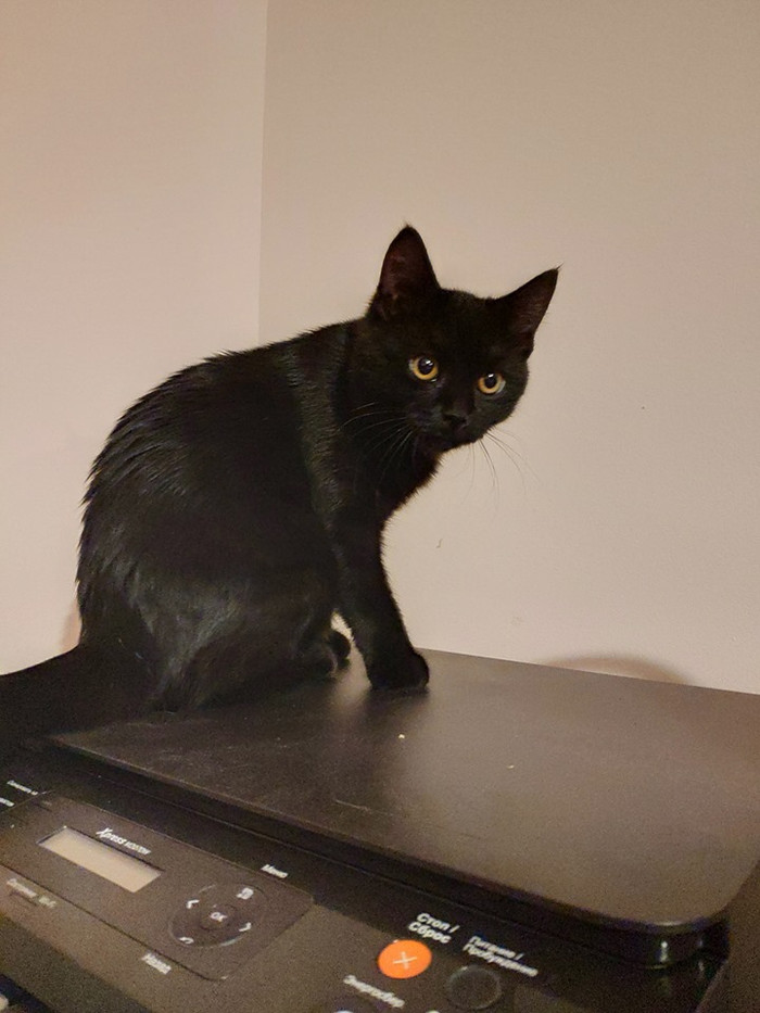 ��������, ����� �� ������ ������?! ��� ��� ������ ���������, �� �������?