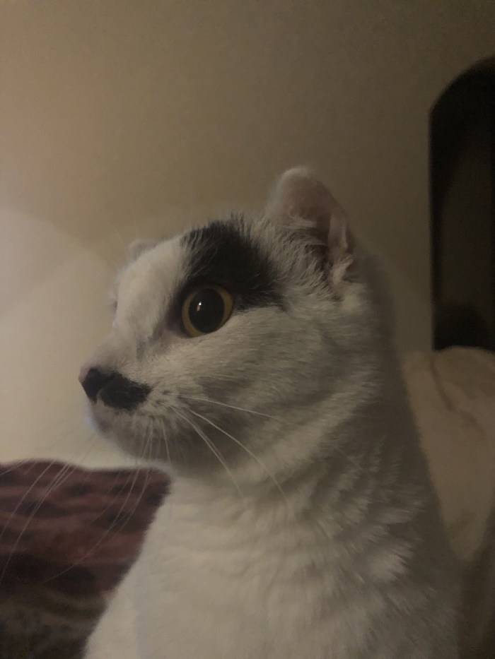 ������� � ������ ��������