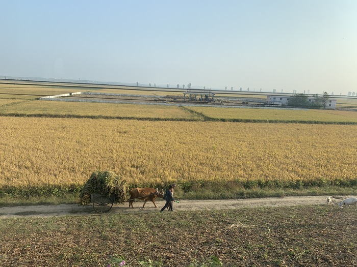 Северная Корея вне Пхеньяна. Часть 2 Северная Корея, Путешествия, Пхеньян, Мат, Длиннопост
