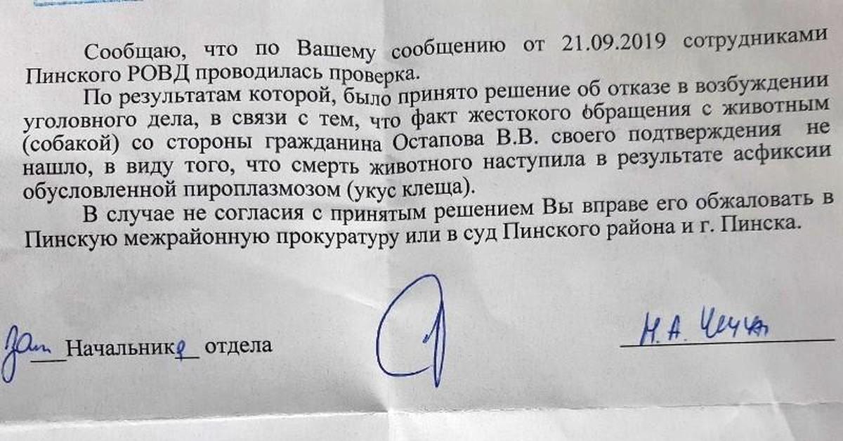 Заявление об укусе собаки образец в полицию