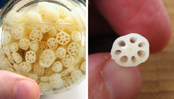 Необычные продукты о которых вы могли и не знать Продукты, Необычная еда, Познавательно, Экзотическая еда, Длиннопост Необычные продукты о которых вы могли и не знать Продукты, Необычная еда, Познавательно, Экзотическая еда, Длиннопост