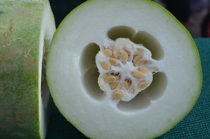 Необычные продукты о которых вы могли и не знать Продукты, Необычная еда, Познавательно, Экзотическая еда, Длиннопост Необычные продукты о которых вы могли и не знать Продукты, Необычная еда, Познавательно, Экзотическая еда, Длиннопост