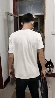 Ты куда? Я с тобой!