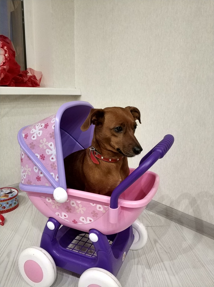 -  ? -, , 