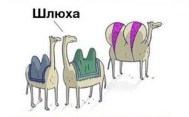 Зависть.