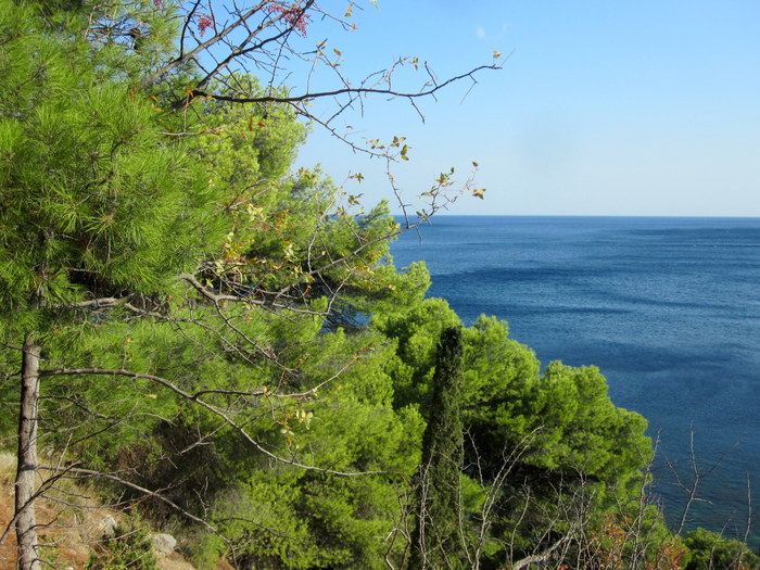 В Форосском парке (Крым)