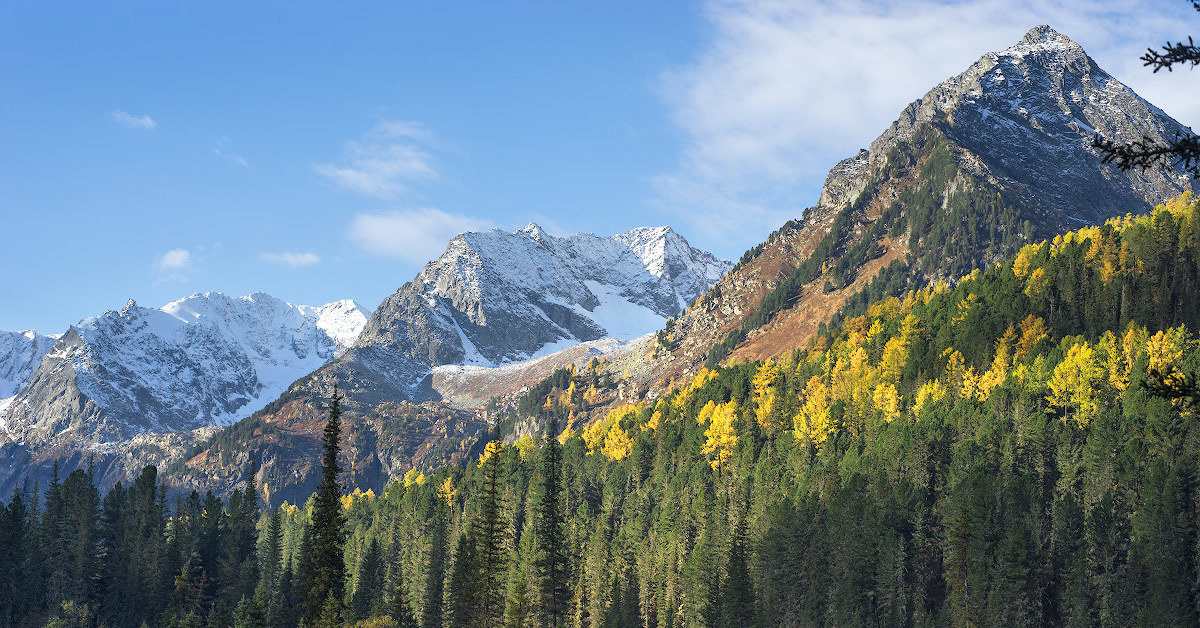 Мульта горный алтай фото