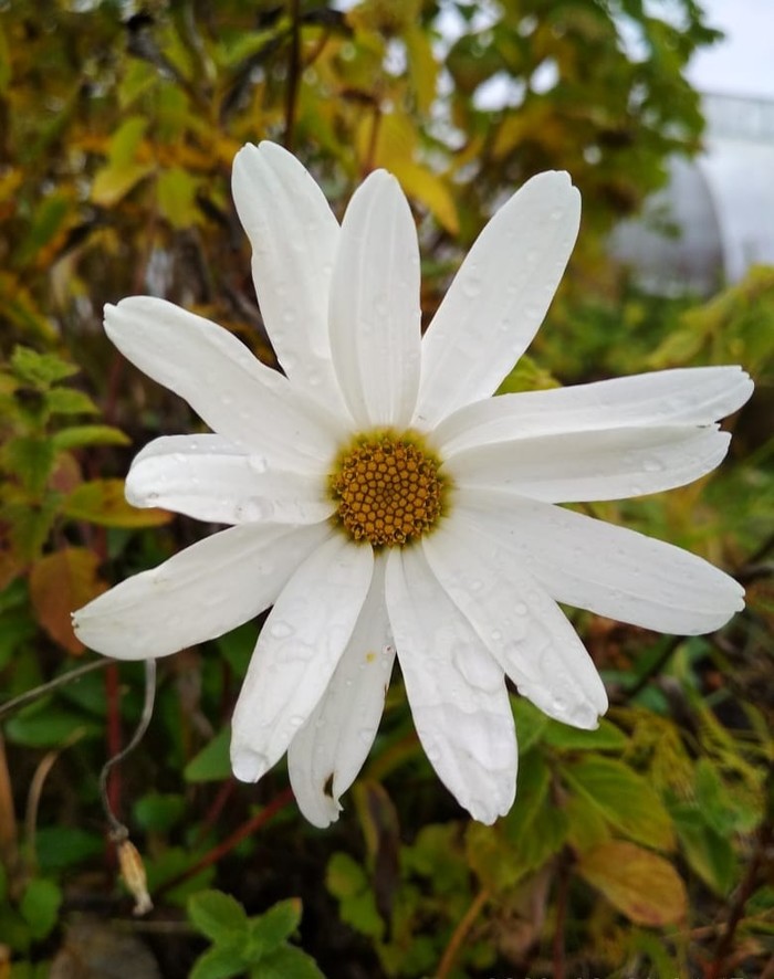 ��� ������ ����!