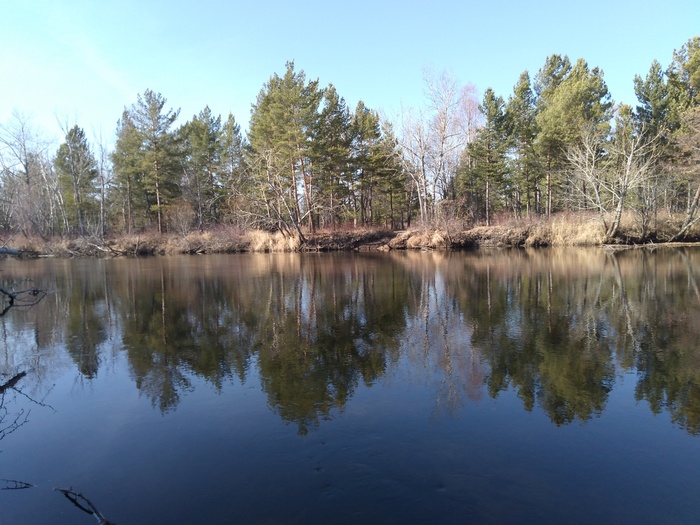 Радости всем