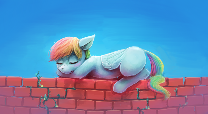 On the Fence My Little Pony, Rainbow Dash, , , Sharpieboss