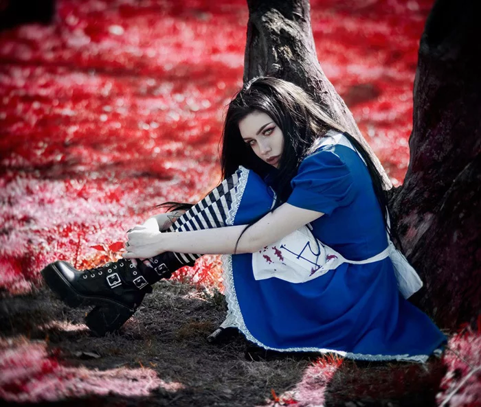 Alice Cosplay Косплей, Алиса, Красивая девушка, Длиннопост