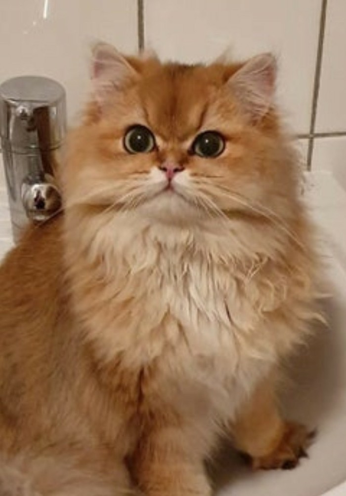  ,    )  , , , , 