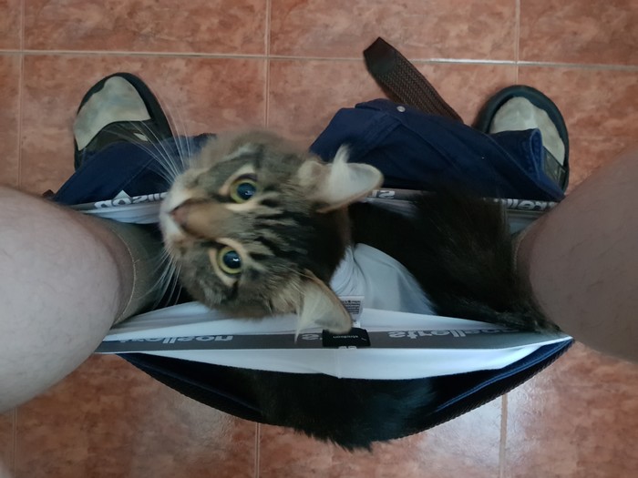 Тебе там удобно?