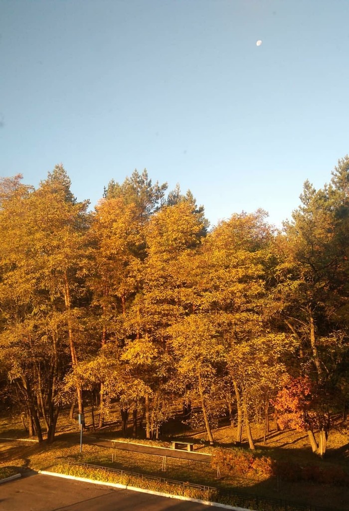 ���� ������, �������.