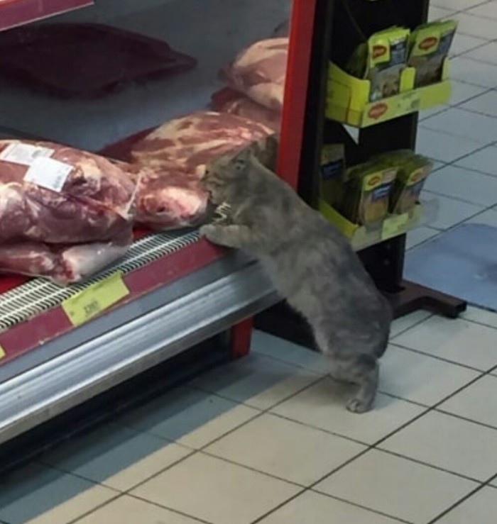 Когда денег нет, но кушать хочется