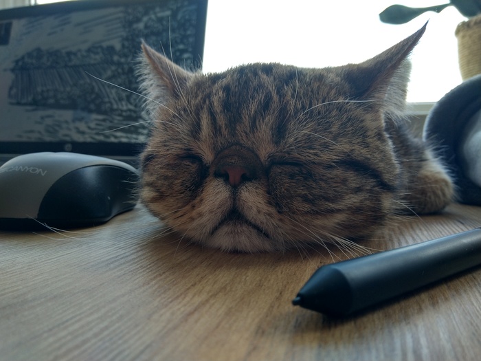 Арт-директор утомился