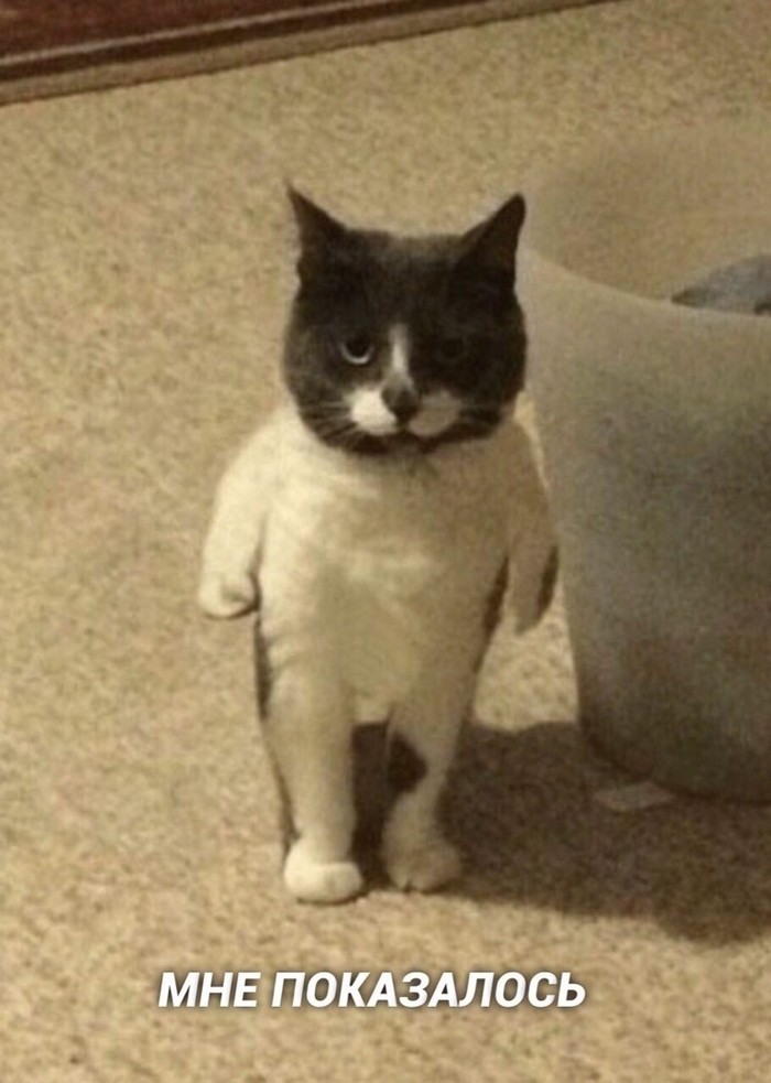     , , , 