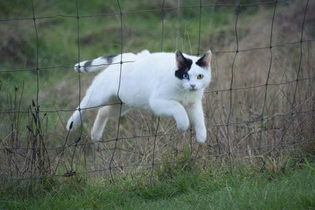 � ������